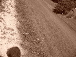 p1000240.jpg