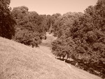 p1000245.jpg