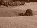 p1000248.jpg