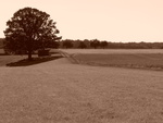 p1000250.jpg