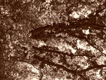 p1000253.jpg