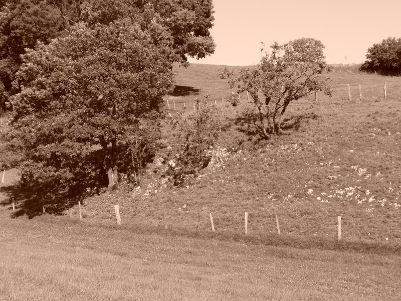 p1000239.jpg