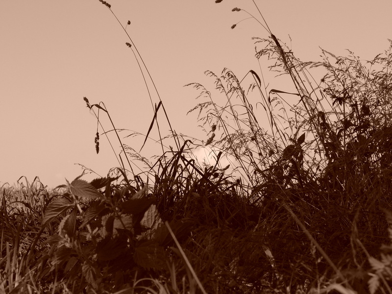 p1000255.jpg