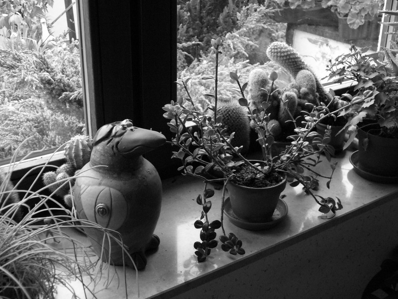 p1040110.jpg