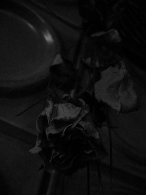 p1040123.jpg