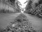 p1160767.jpg