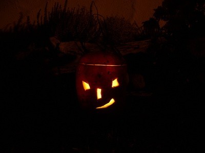 2008-10-30_markus.jpg