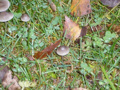 2009-11-07_yannic.jpg