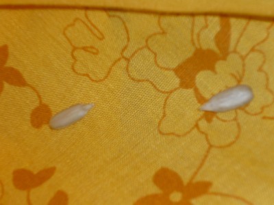 2009-11-15_manu-bine.jpg