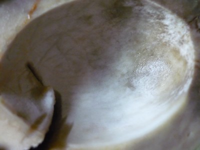 2010-03-09_manu-bine.jpg