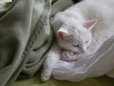2009-12-21_henry.jpg