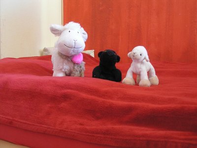 2011-05-18_Hauke.jpg