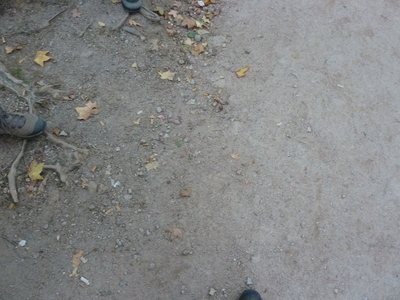 2011-04-13_Lydi.jpg