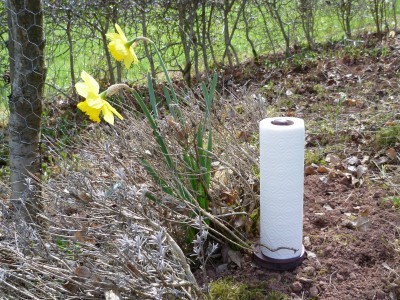 2010-04-10_yannic.jpg