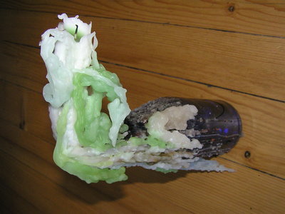 2010-08-01_Lydi.jpg