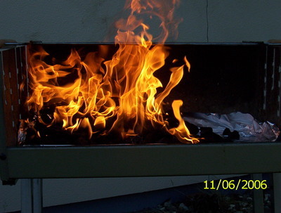 2010-08-04_frindly.jpg