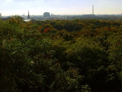 2010-10-13_Steffen.jpg