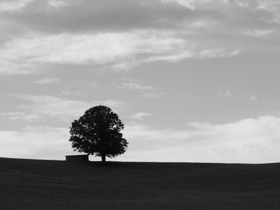 2015-02-25_markus.jpg