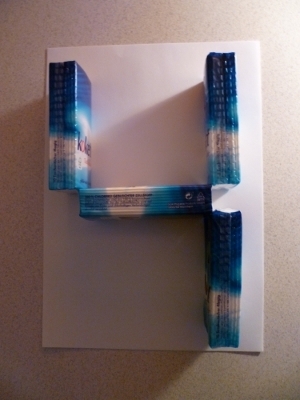 2011-01-19_yannic.jpg