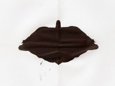 2011-02-17_inne.jpg