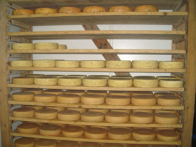 2011-11-09_lydi.jpg
