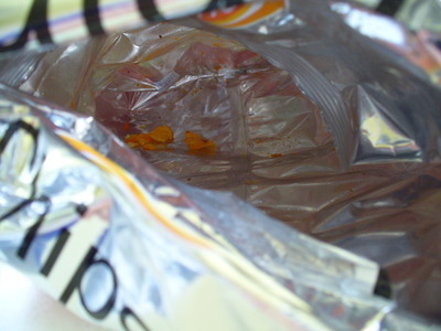 2010-01-31_lydi.jpg
